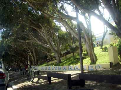 [muertos-la-lucila-6.jpg]