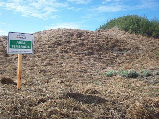 Ardua tarea en la reconstrucción del frente marítimo 3 frente+maritimo