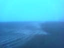 MUCHA+NIEBLA