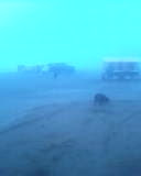 NIEBLA+III