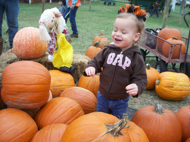 Pumpkin Farm 09