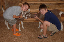 Connemara Goats