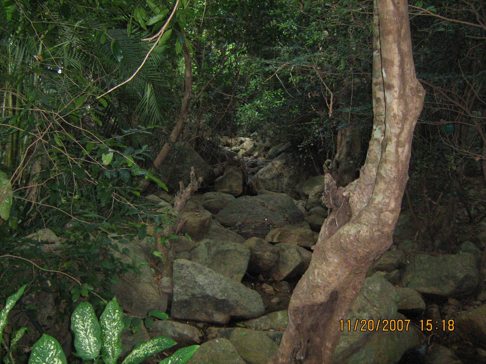 [IMG_2436.jpg]
