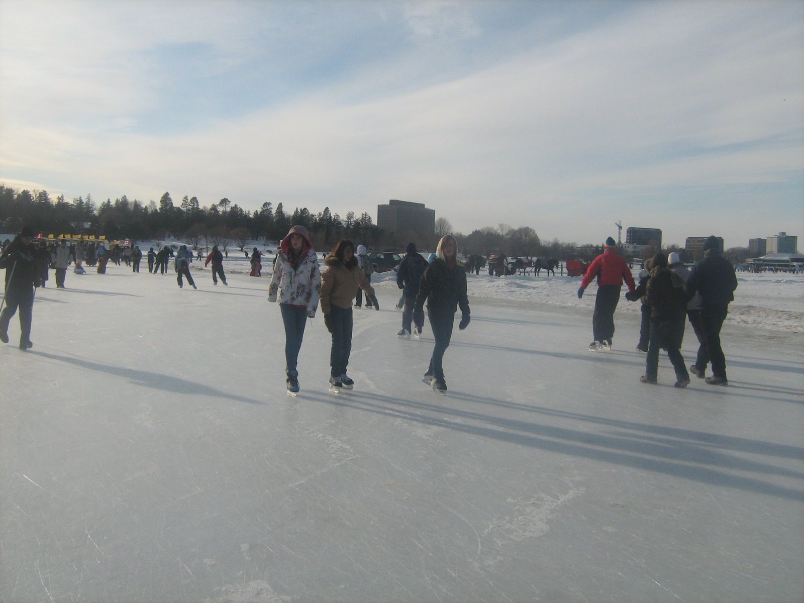 [IMG_7056.jpg]
