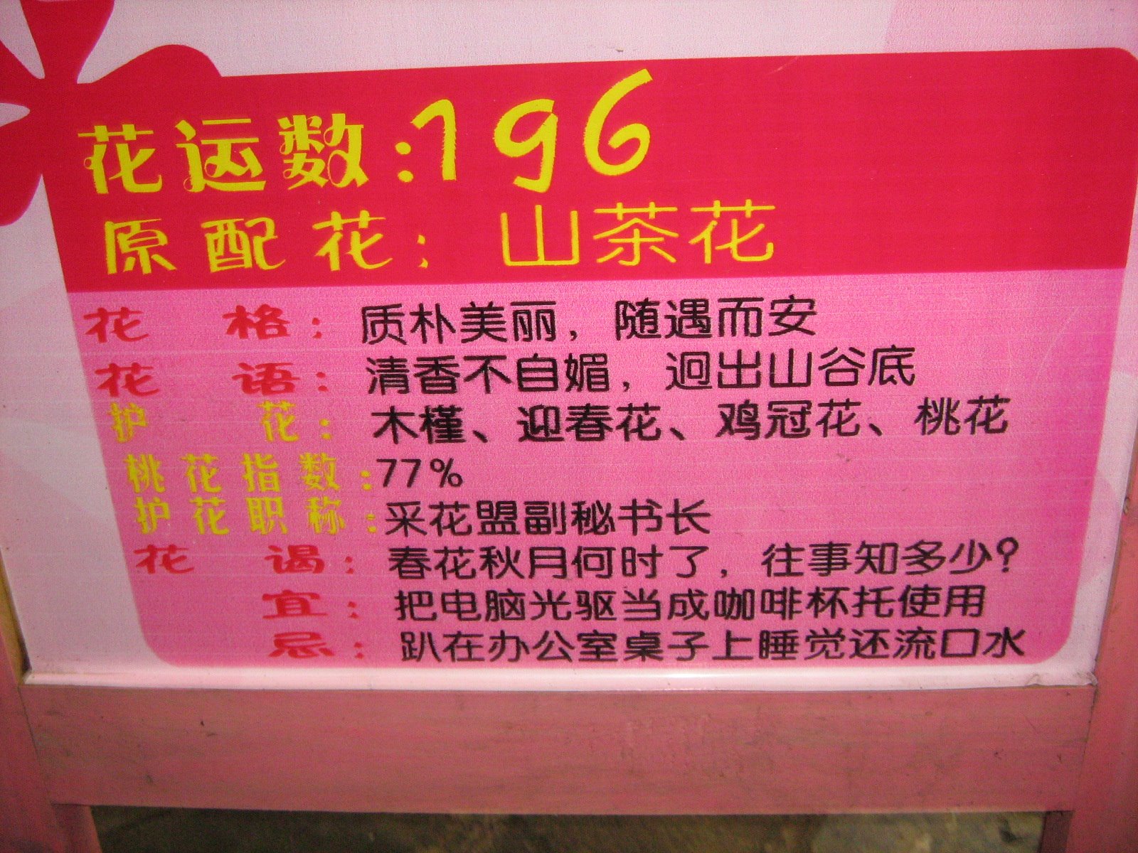 [照片+999.jpg]