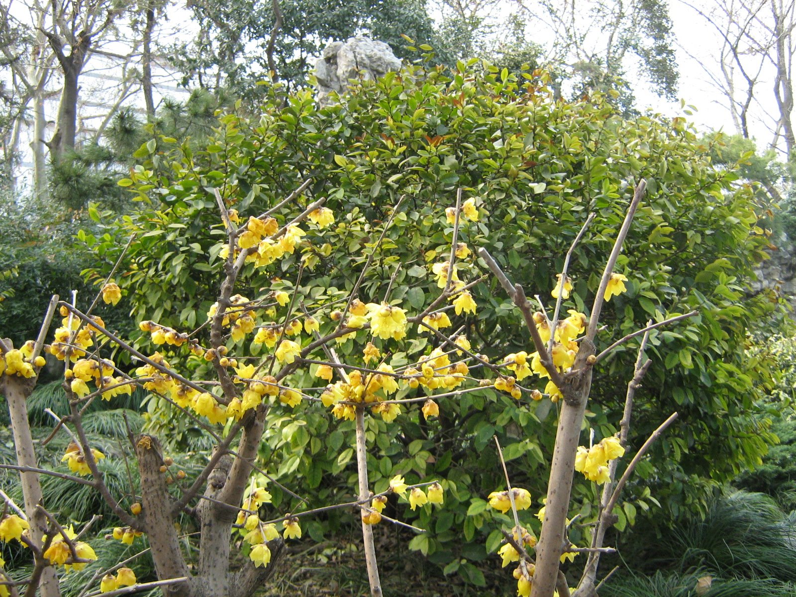 [ç…§ç‰‡+208.jpg]