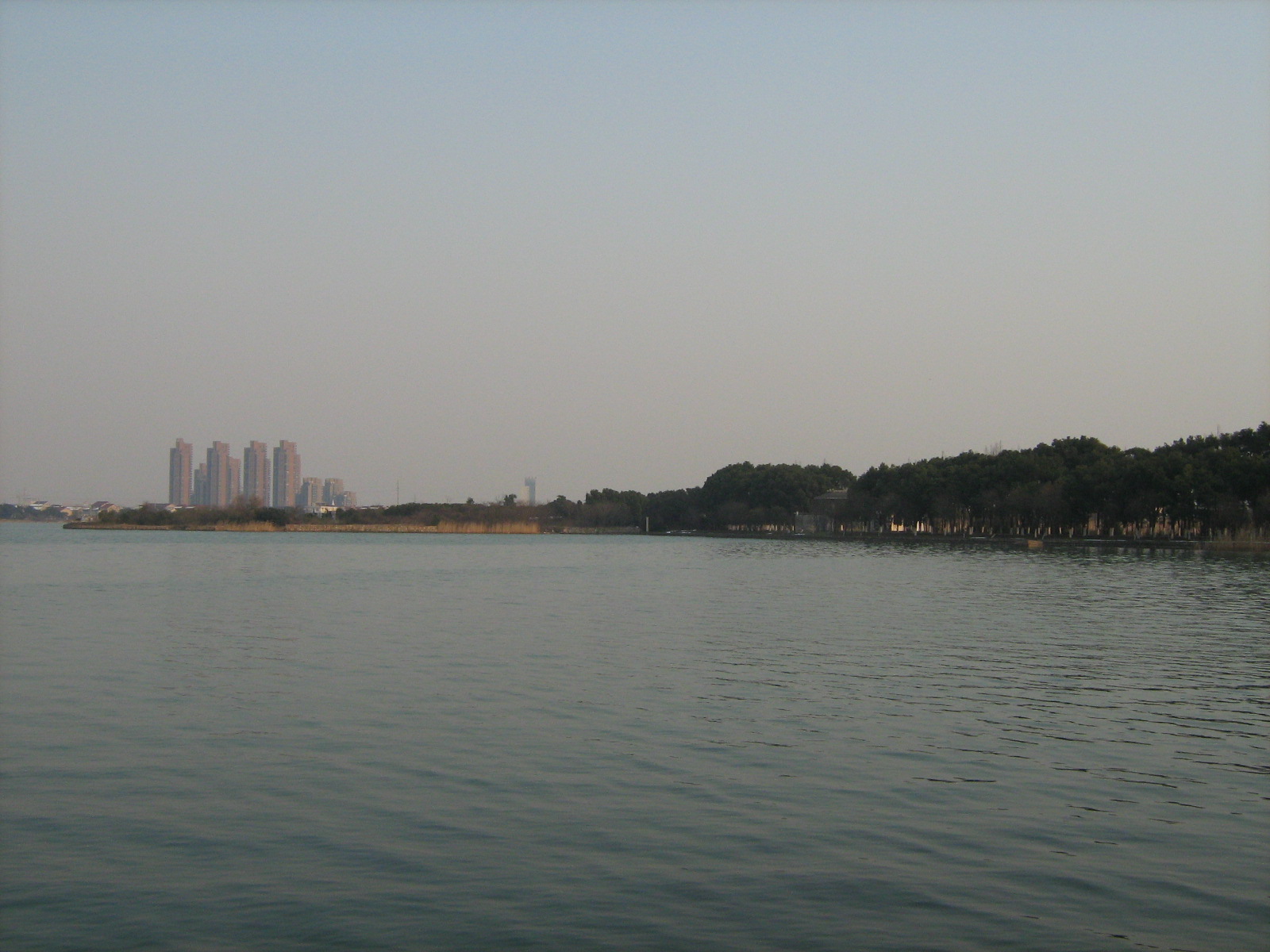 [Picture+492.jpg]
