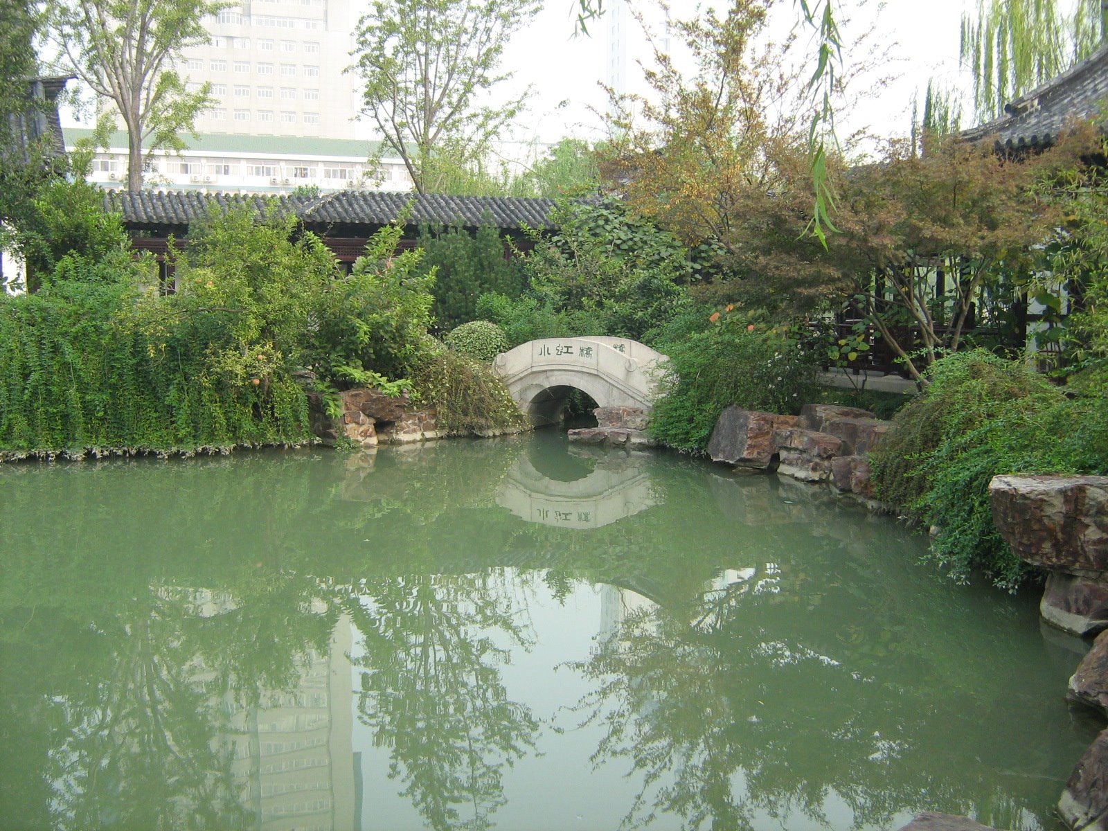 [Picture+087.jpg]