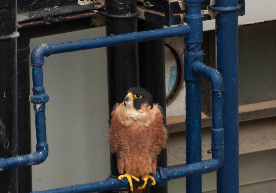 New Blog Post Address