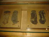 El zapato más viejo del mundo tiene 5.500 años Calzado+anasazi