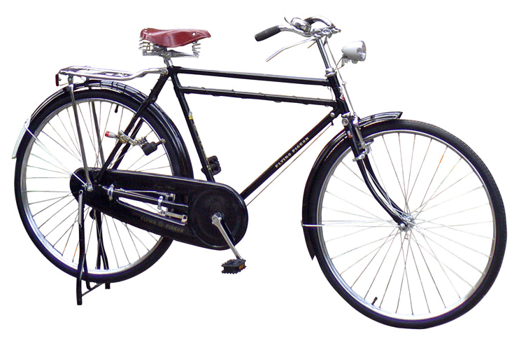 [paloma+voladora,+alias+flying+pigeon.gif]