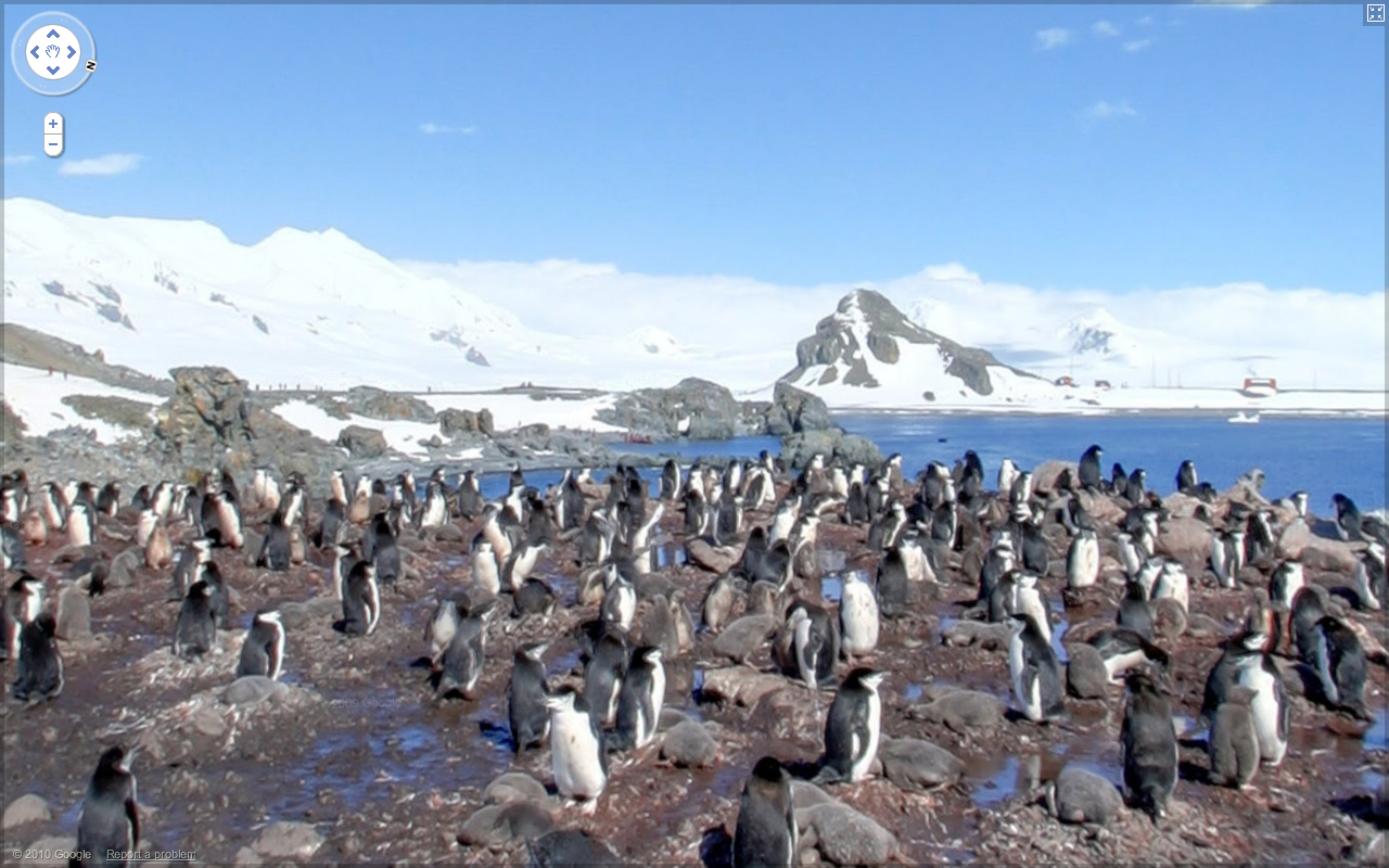 Terre Adelie Penguins+latlong