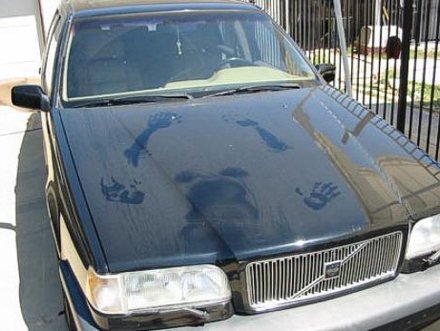 [carro+evidente.bmp]