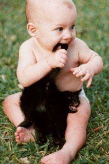 Foto bebe e gato
