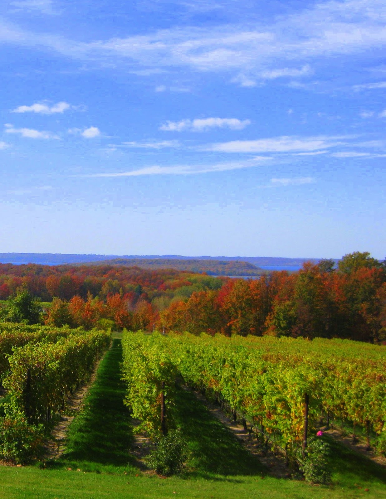 Pure Michigan