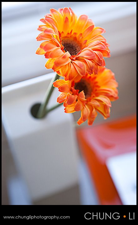 san francisco wedding photographer gallery studio