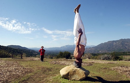 dharma mittra headstand