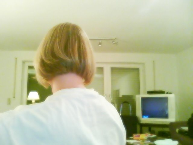 [Snapshot_20081202_8.jpg]