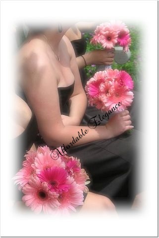June wedding in Battle Creek