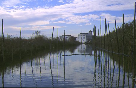 [albuferapalmar.jpg]