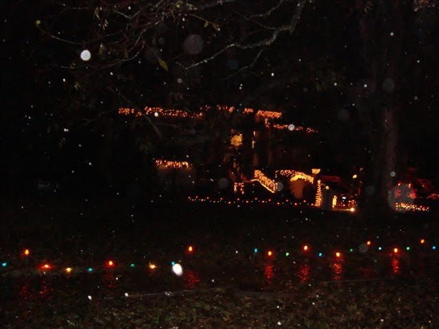 [Luzes2.JPG]