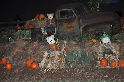 Life as we are living it: November 2010