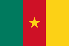 Vlag Kameroen
