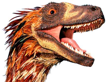 feathered+dinosaur+evolution+bird.jpg