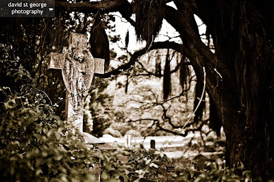 Wellington Graveyard (Copyright) Colonial Era Graveyard David St George Photography