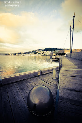 Wellington waterfront bridge David St George Photography
