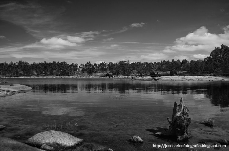[DSC_8995aa.jpg]