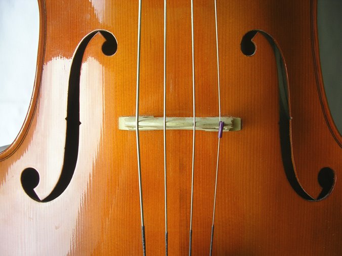 [CelloCloseup3.jpg]