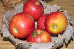 Apples in a bowl