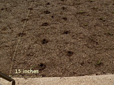 [rows_measure.JPG]