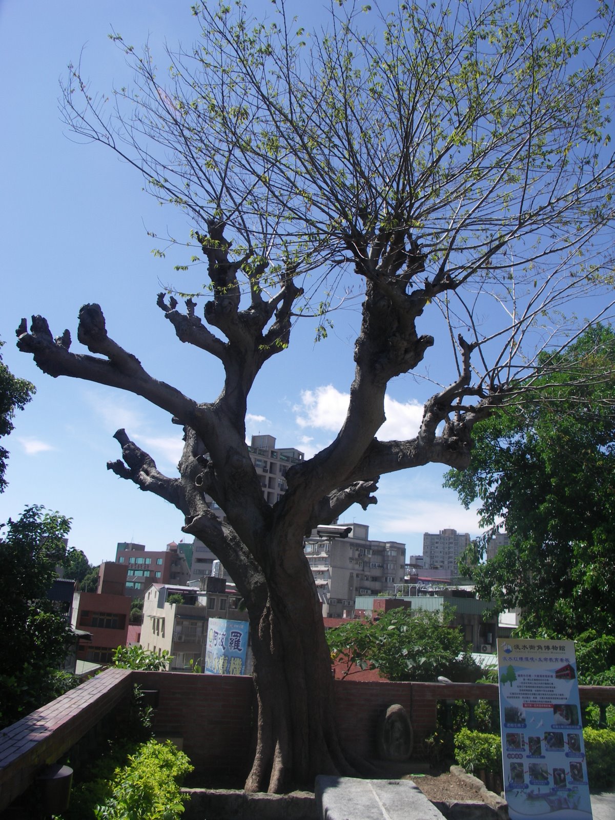 [PICT0572.JPG]