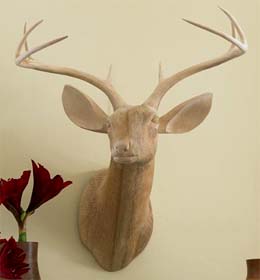 [object_utils.display_object.jpg]