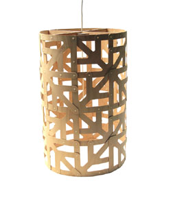 [davidtrubridge.jpg]