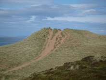 Sand Dunes at 'Redpoint'
