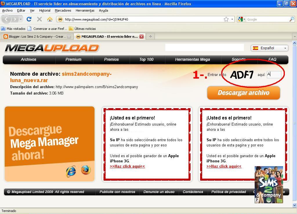 [ayuda_megaupload_1.jpg]