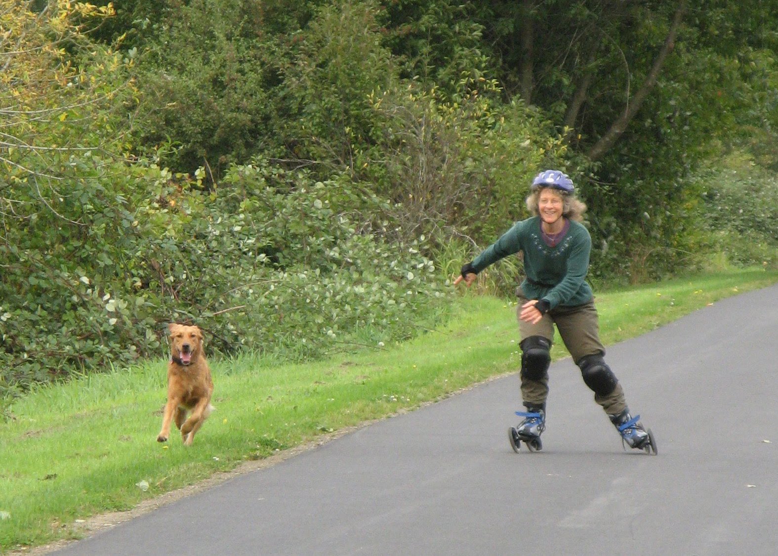 Dog Talk 101 A Dog's Job