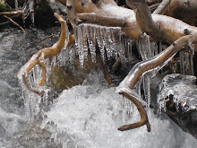 iced over stream