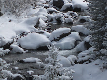 snow covered rocks