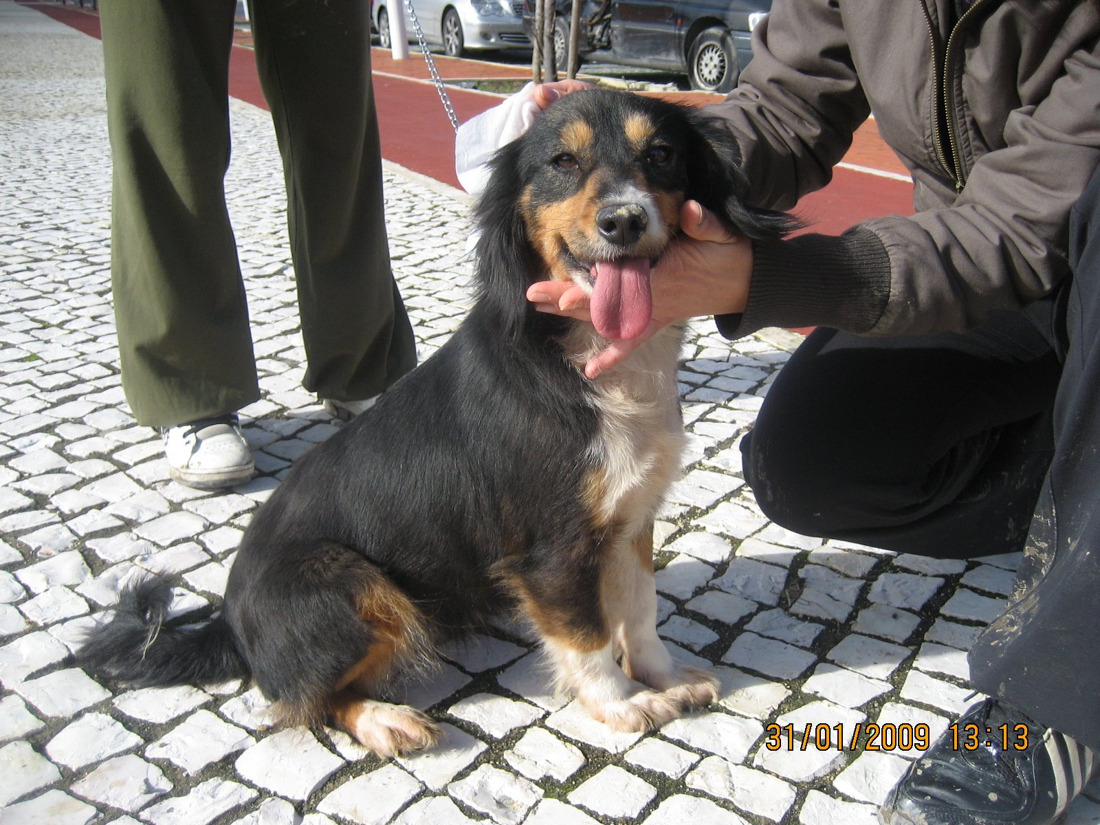 [IMG_4824.JPG]