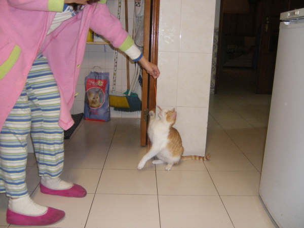 [IMGP0133.JPG]