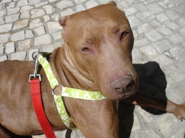 [DSC04536.JPG]