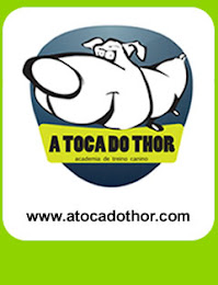 Parceiro - A toca do thor