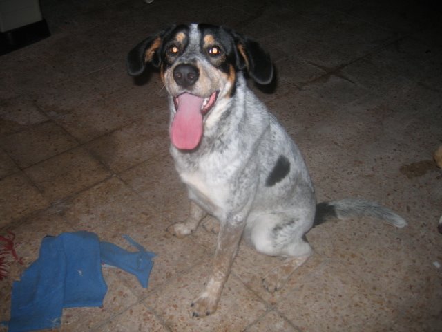 [IMG_9229.JPG]