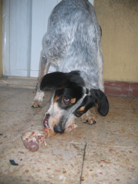 [IMG_1008.JPG]