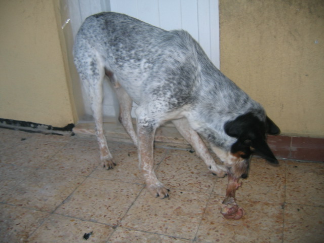 [IMG_1004.JPG]