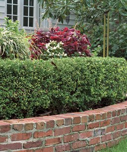 Le Petit Chateau: Don't fence me in